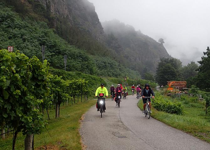 On the Danube Bike Barge Trip 3 -  Domaine Wachau