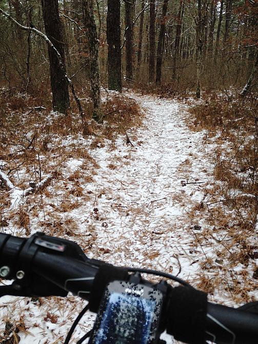 A Snowy Day in the BSP Woods 1