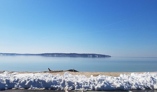 Cathy's Scenic Driftwood