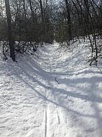 Down Hill on XC Skis