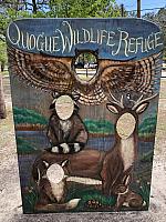 At the Quogue Wildlife Refuge 1