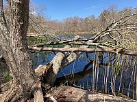 Peconic River 1