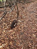 Scenic Trail Trash