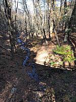 Mohonk Gravel Trail View 2