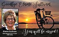 Remembering Elaine Sullivan